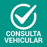 Consulta Vehicular MX 2024
