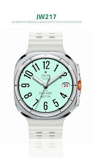 JW217 jwstudio watchface Screenshot 0