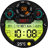 DIGI FRAMONT CTS29 Watch face