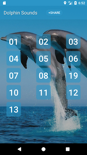 Dolphin (Animal) Sounds Screenshot 0