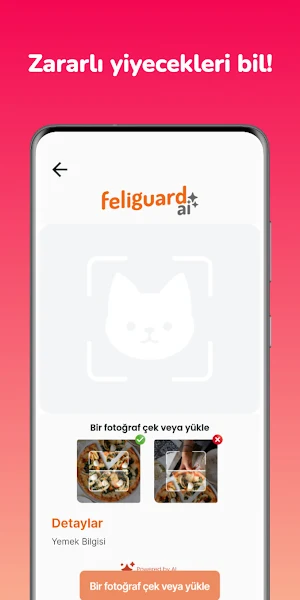 FeliguardAI by Felicia Screenshot 2