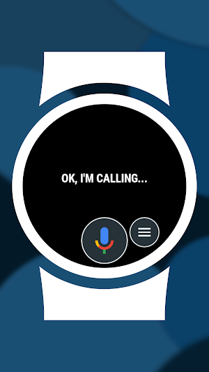 Mini Voice Assistant Plugin Screenshot 2