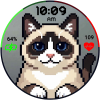 Pixel SnowShoe Face