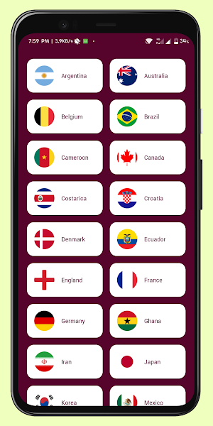 World Cup Schedule - FIFA 2022 Screenshot 3