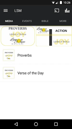 Lemonsoape Ministries Screenshot 0