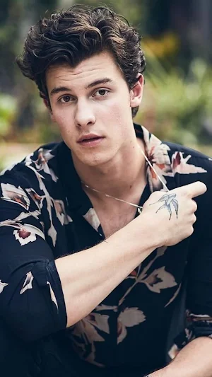 Shawn Mendes:Puzzle,Wallpapers Screenshot 1