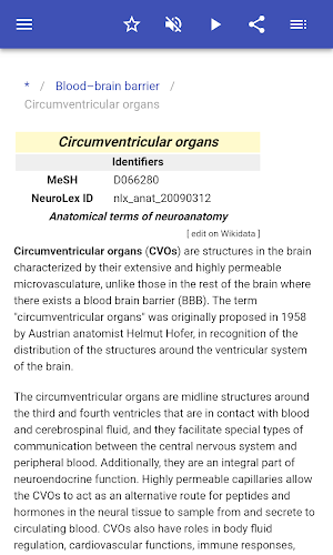 Brain Screenshot 2