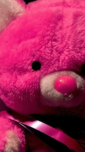 Teddy Wallpapers Screenshot 2