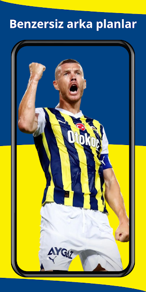 Fenerbahçe Wallpaper 2024 Screenshot 1