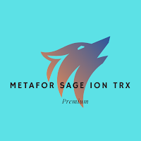 Metafor sage i on trx core max