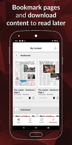 The Leader Screenshot 2