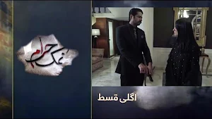 Namak Haram - Pakistani Drama Screenshot 2
