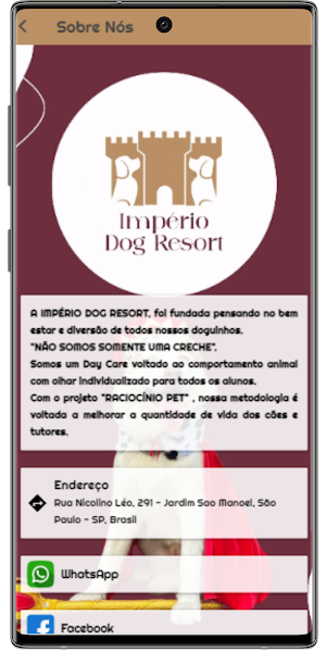 Império Dog Resort Screenshot 2