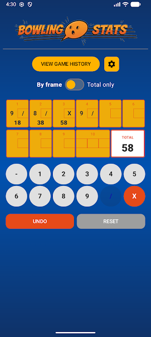 Bowling Stats Screenshot 1