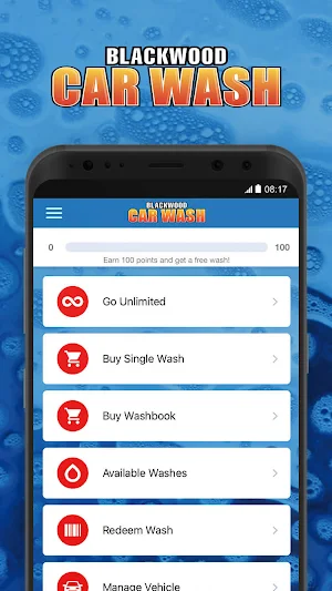Blackwood Car Wash Screenshot 0