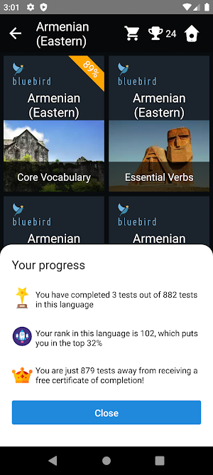 Armenian Language Tests Screenshot 2