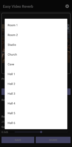 Easy Video Reverb Screenshot 1