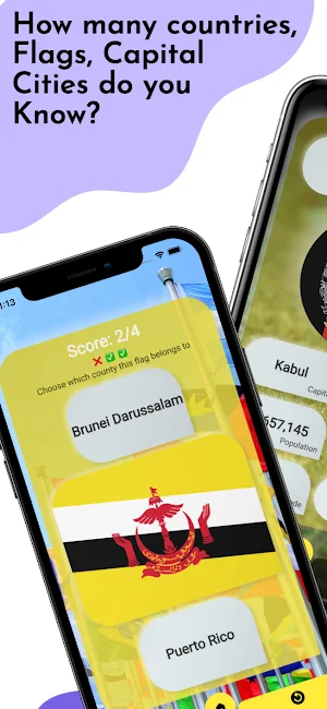 Countries and Flags Screenshot 0