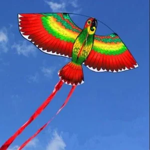Beautiful Kites Screenshot 1