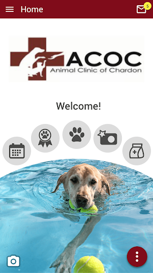 ACOC Screenshot 0