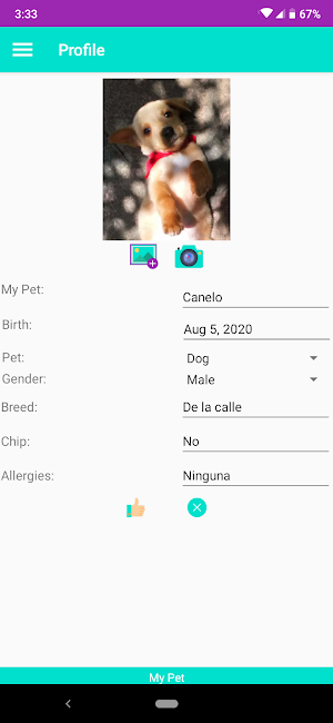 My pet Screenshot 1