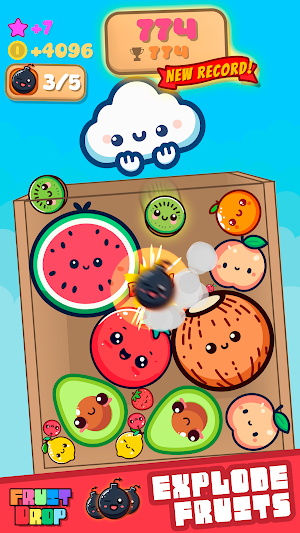 Fruit Drop - Watermelon Game Screenshot 1