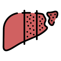 Hepatitis B Interpreter