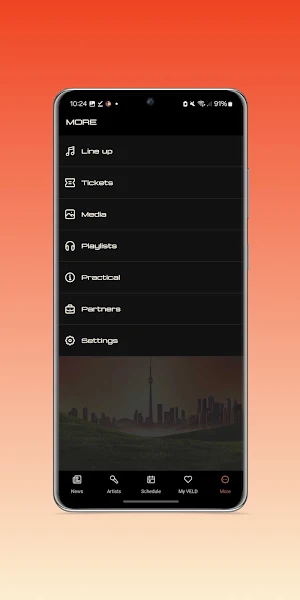 VELD Festival Screenshot 2