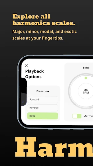 Chromatic Harmonica Pro Screenshot 2