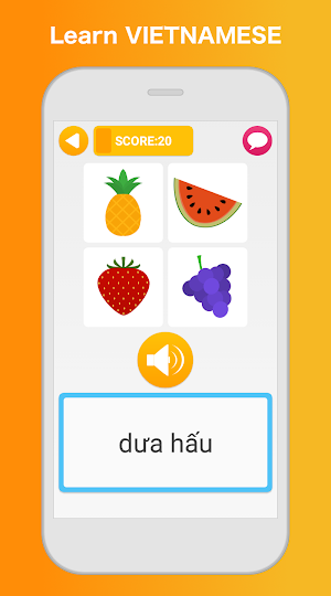 Learn Vietnamese - Language Learning Pro Screenshot 0