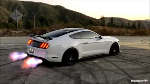 Mustang Game Screenshot 2