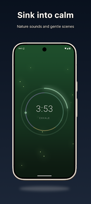 GonguZen: Singing Bowl Timer Screenshot 2