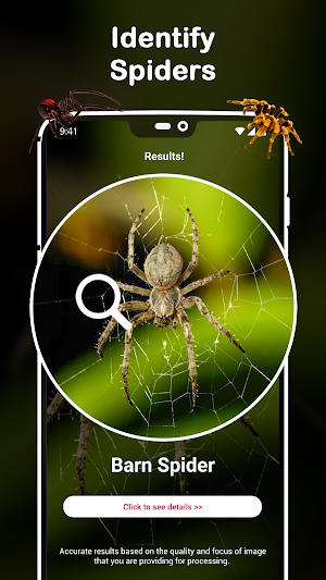 Insect Identifier : Insect ID, AI Photo Camera Screenshot 1