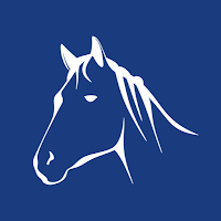 Martingale Calculator