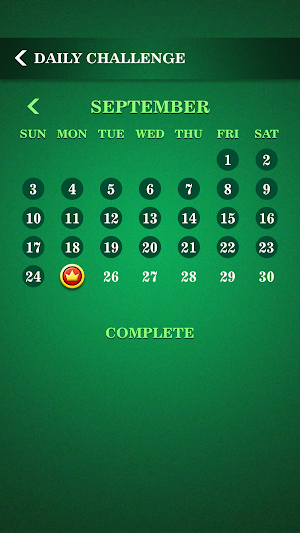 Easy Solitaire Senior Classic Screenshot 3