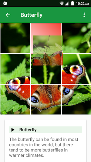 Wild Animals Puzzle Screenshot 1