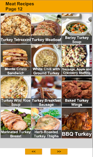 200 Meat Recipes Screenshot 2
