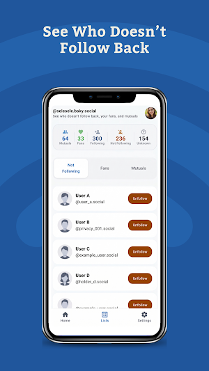 Bluesky Followers Tracker Screenshot 1