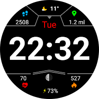 Digital Pinab Watch Face