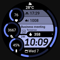 MDS460 Digital Watch Face
