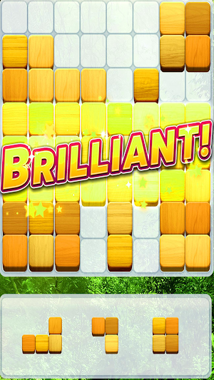 Block Puzzle Extreme Game Screenshot 2