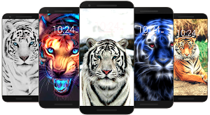 Tiger Wallpaper HD Screenshot 2