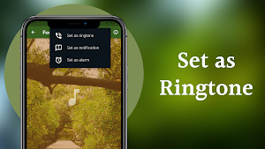 Forest Sounds Screenshot 2