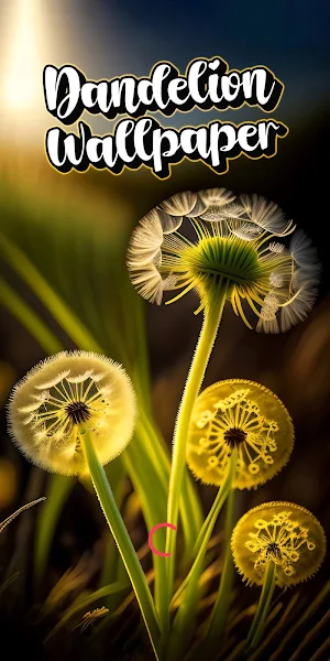 dandelion wallpaper Screenshot 0