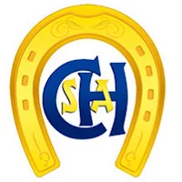 CHSA Digital