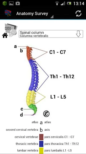 Human Anatomy Screenshot 3