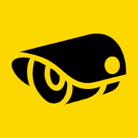 RTSP Viewer