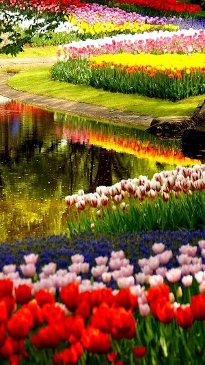 Garden Wallpaper 4K Screenshot 0