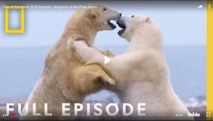 National Geographic HD Screenshot 2