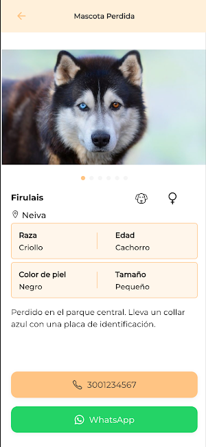 DOGGY MATE Screenshot 2